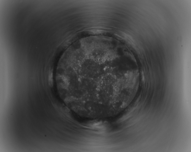 X0000093140267200710101123