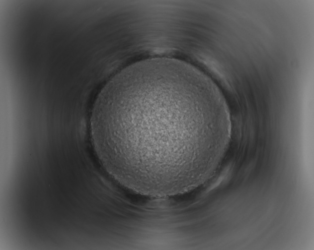 X0000093140269200710101123