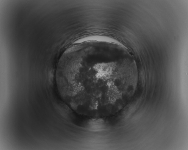 X0000093140271200710101123