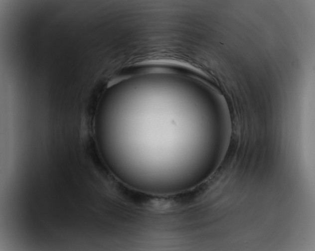 X0000093140272200710101123