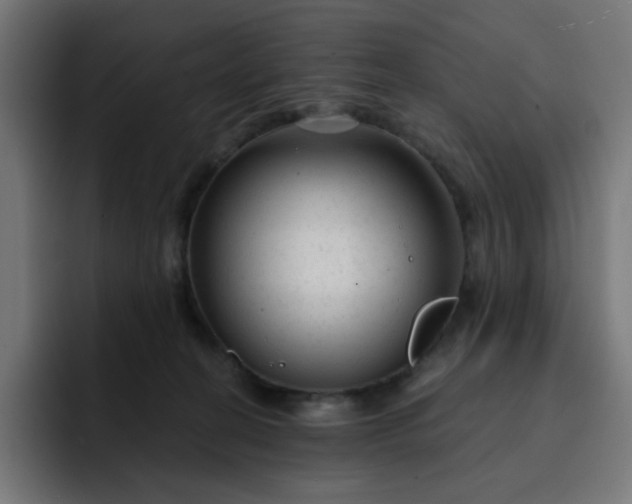 X0000093140274200710101123