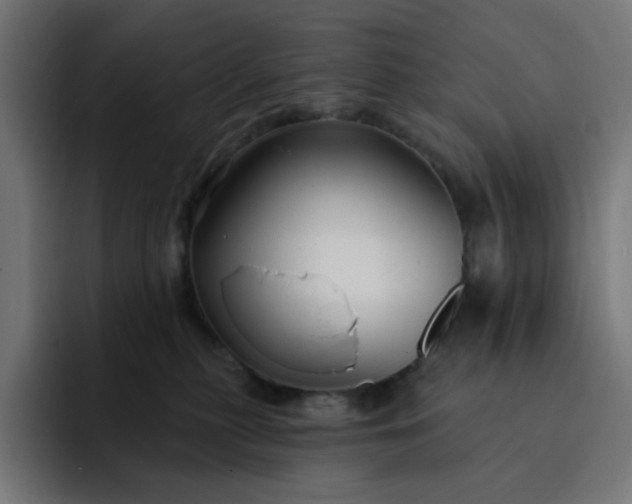 X0000093140279200710101123