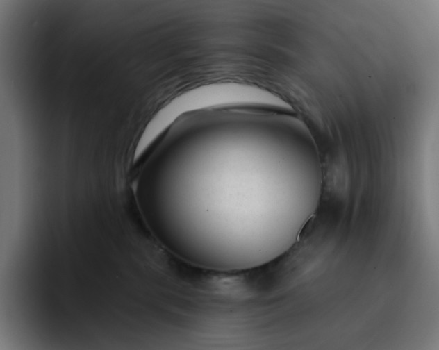 X0000093140283200710101123