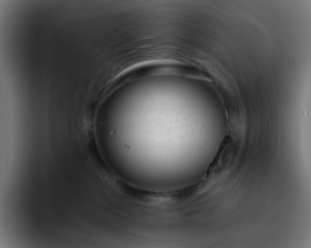 X0000093140284200710101123