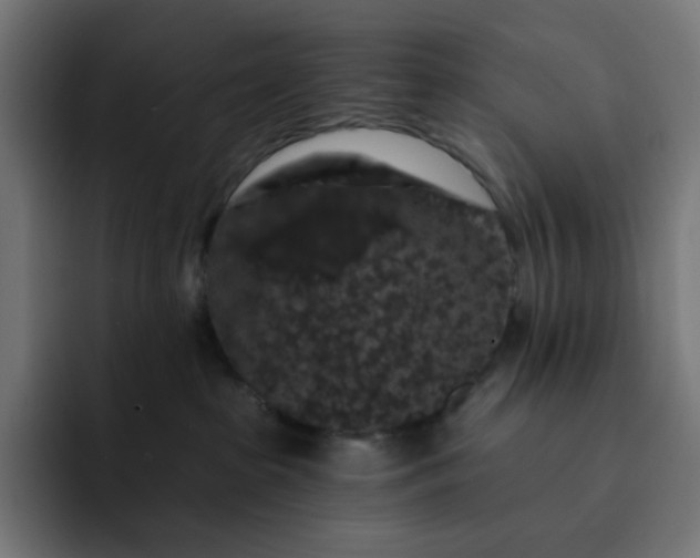 X0000093140285200710101123