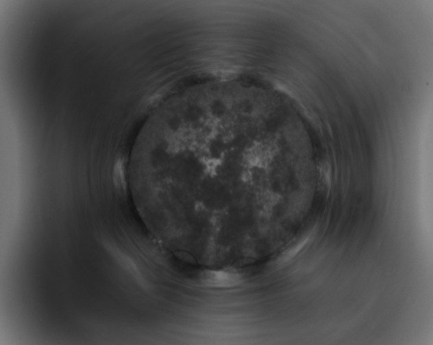 X0000093140286200710101123