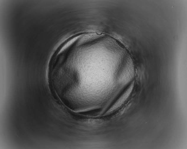 X0000093140292200710101122