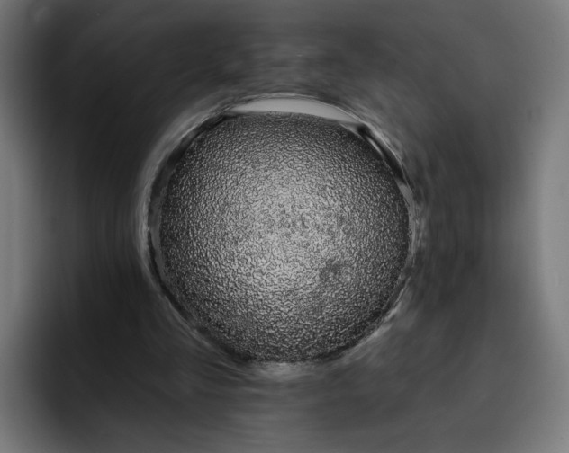 X0000093140293200710101122