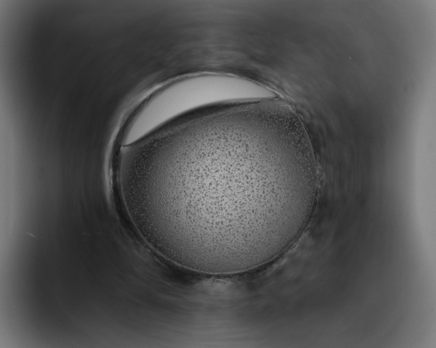 X0000093140294200710101122