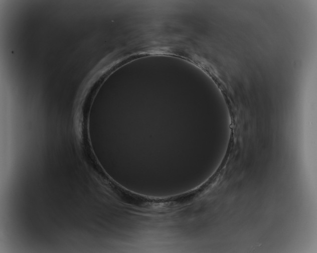 X0000093140295200710101122