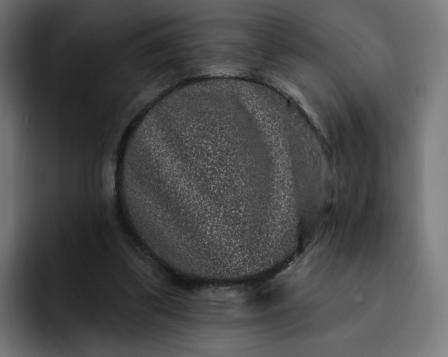 X0000093140299200710101122