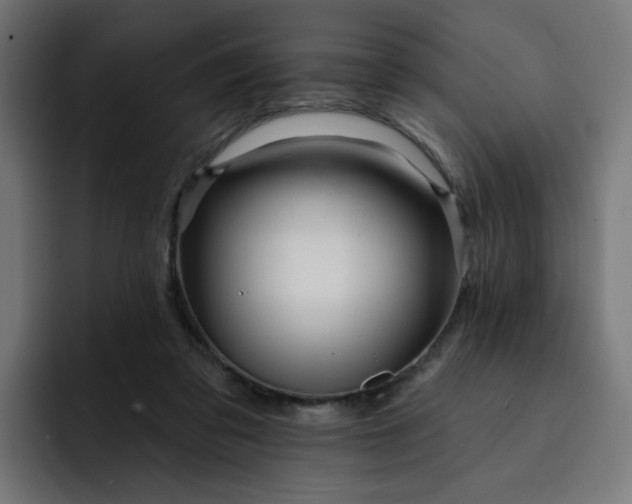 X0000093140309200710101122