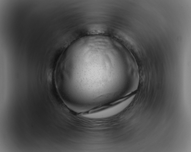 X0000093140315200710101122