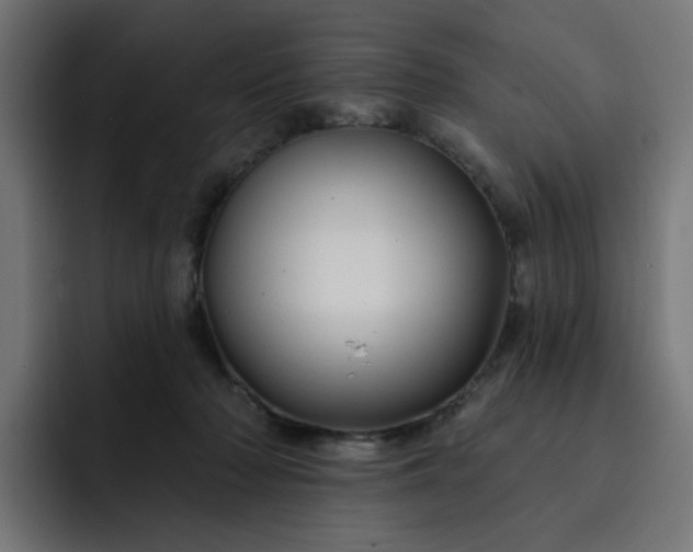 X0000093140318200710101122