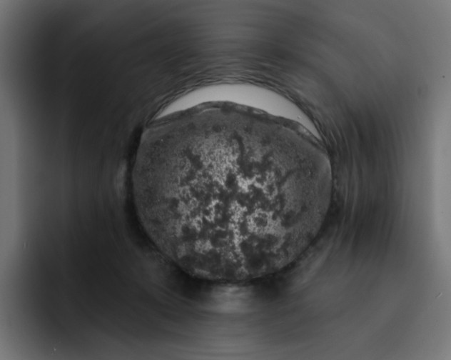 X0000093140319200710101122