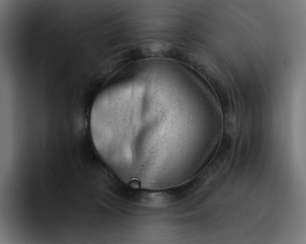 X0000093140324200710101122