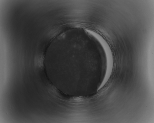 X0000093140325200710101122