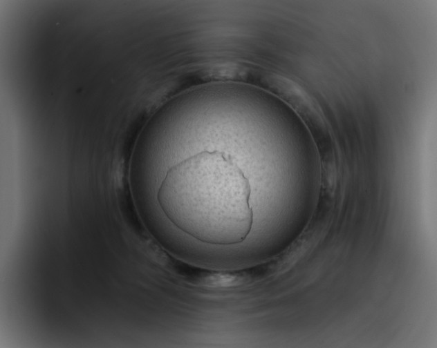 X0000093140326200710101122