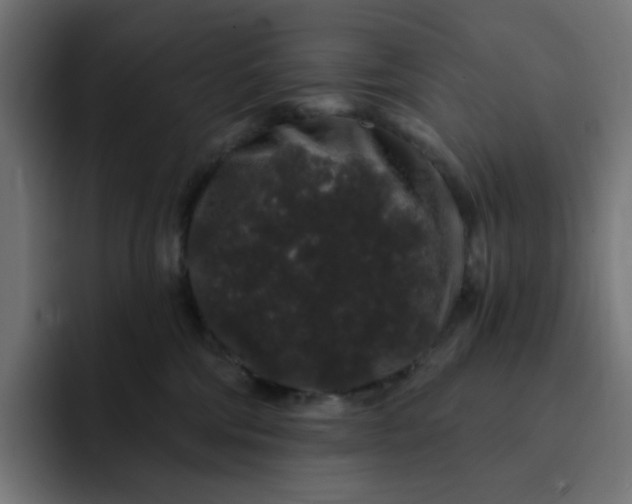 X0000093140330200710101122