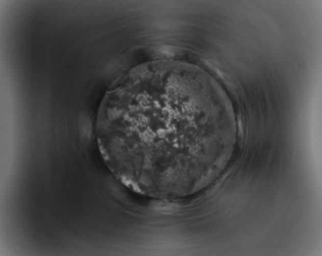 X0000093140331200710101122