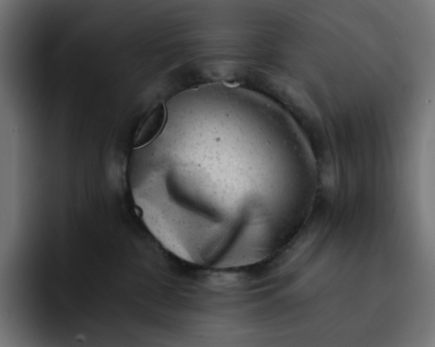 X0000093140332200710101122