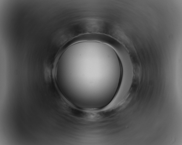 X0000093140333200710101122