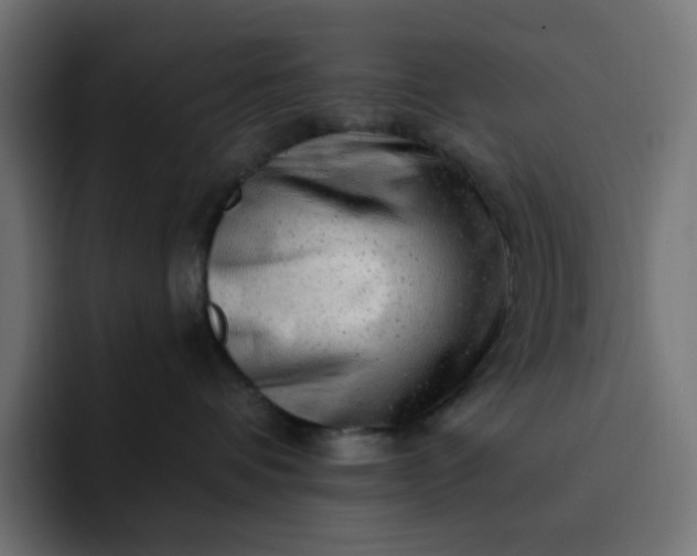 X0000093140336200710101122