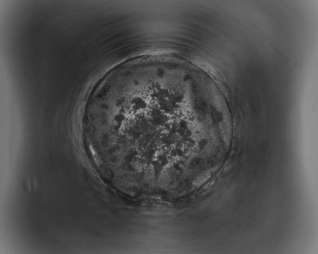 X0000093140337200710101121