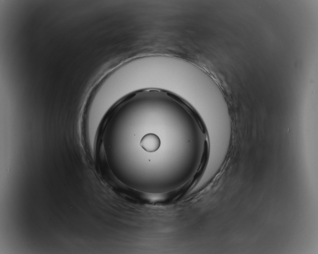 X0000093140340200710101121