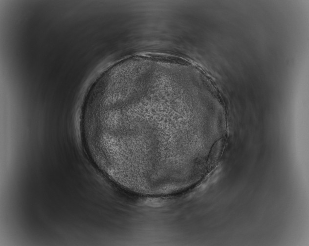 X0000093140341200710101121