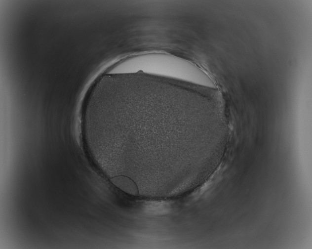 X0000093140342200710101121