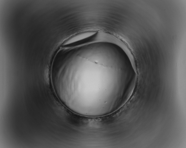 X0000093140345200710101121