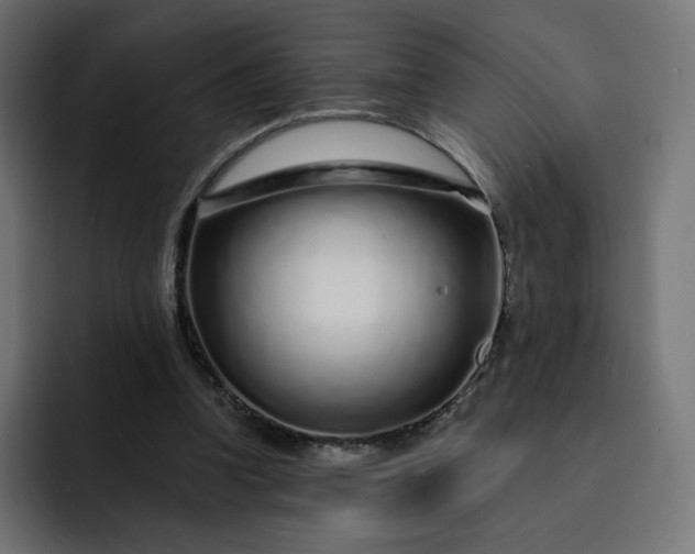 X0000093140346200710101121