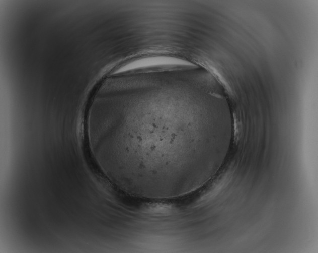 X0000093140348200710101121