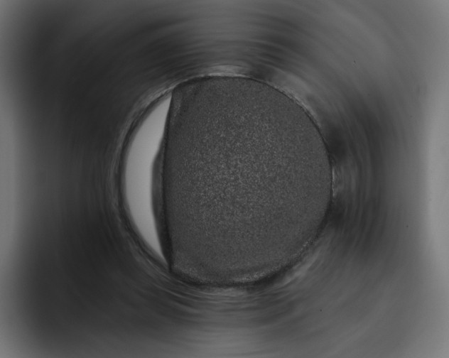 X0000093140349200710101121