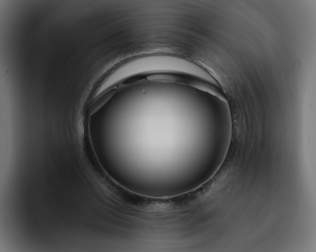 X0000093140350200710101121