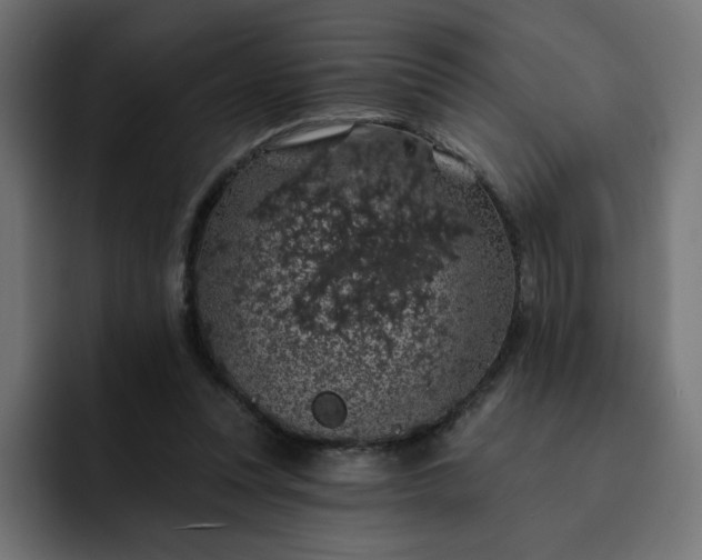 X0000093140351200710101121