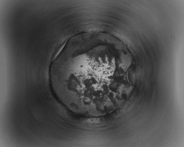 X0000093140353200710101121