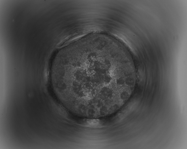 X0000093140355200710101121