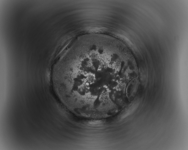 X0000093140357200710101121