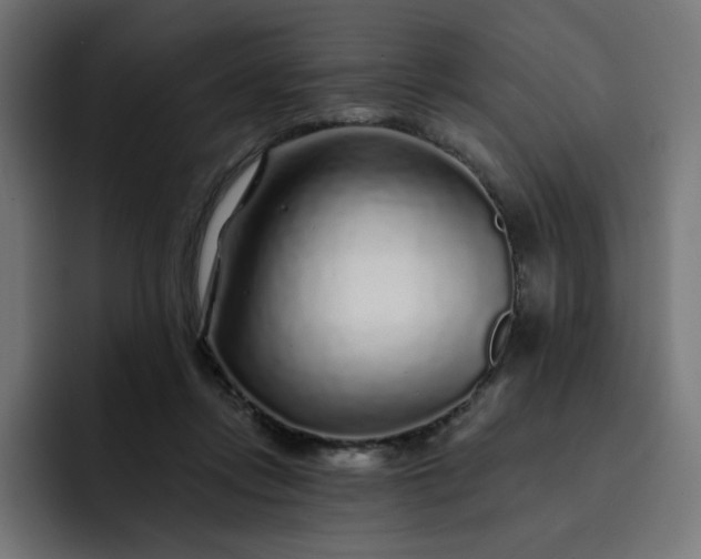 X0000093140358200710101121