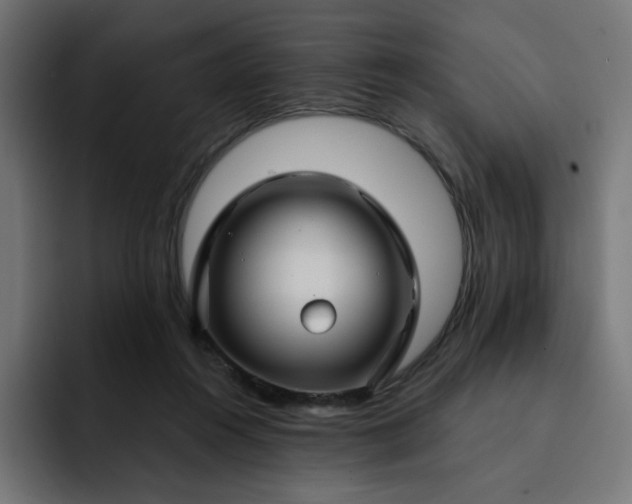 X0000093140360200710101121