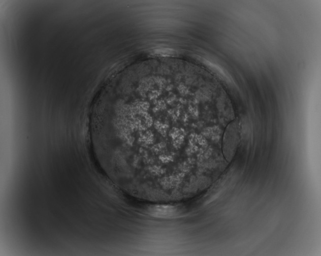 X0000093140361200710101121