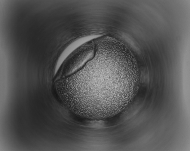 X0000093140363200710101121