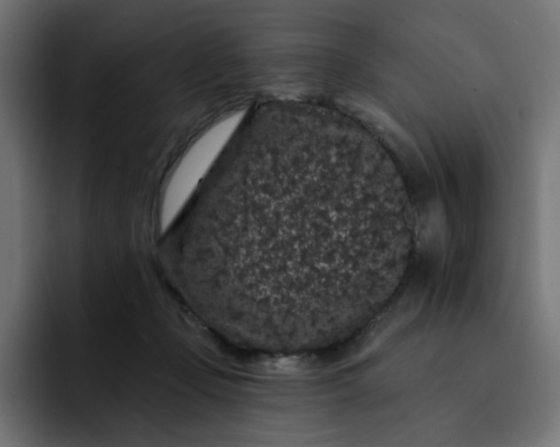 X0000093140365200710101121