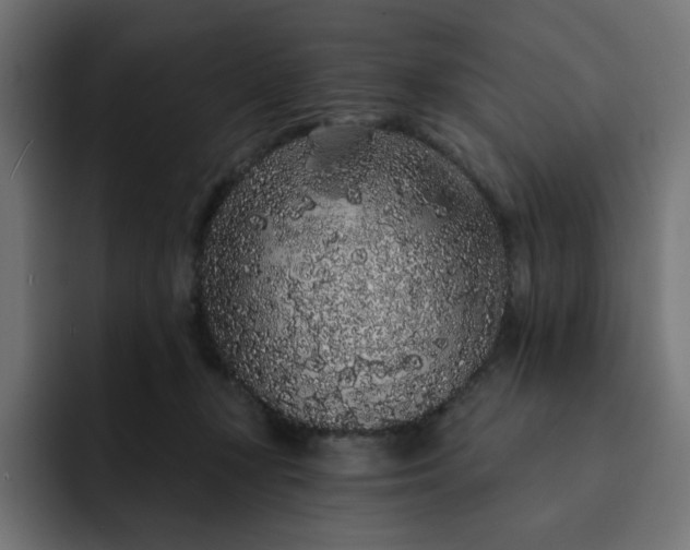 X0000093140367200710101121