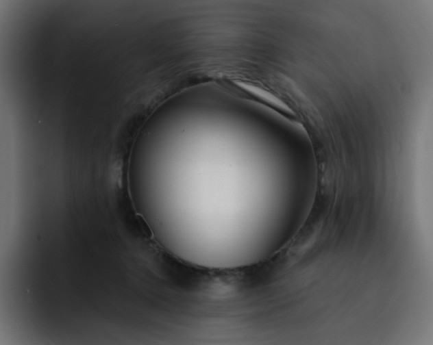 X0000093140368200710101121