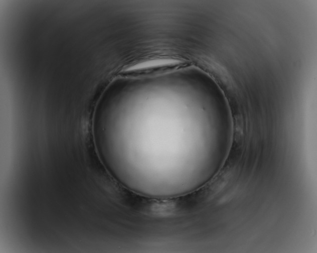 X0000093140369200710101121