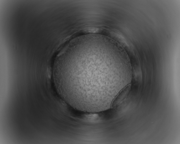 X0000093140374200710101122