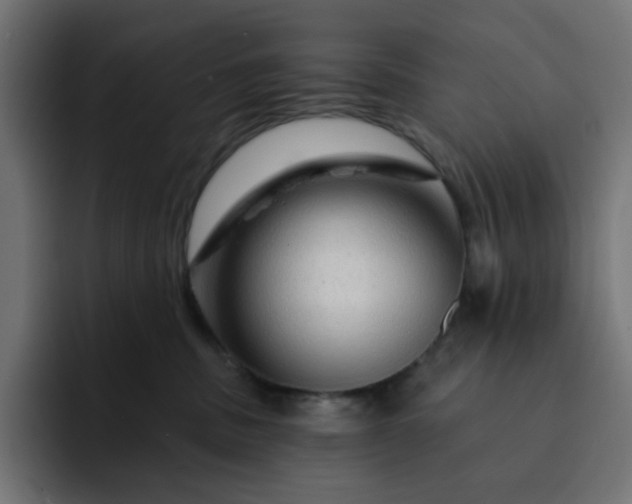 X0000093140379200710101122